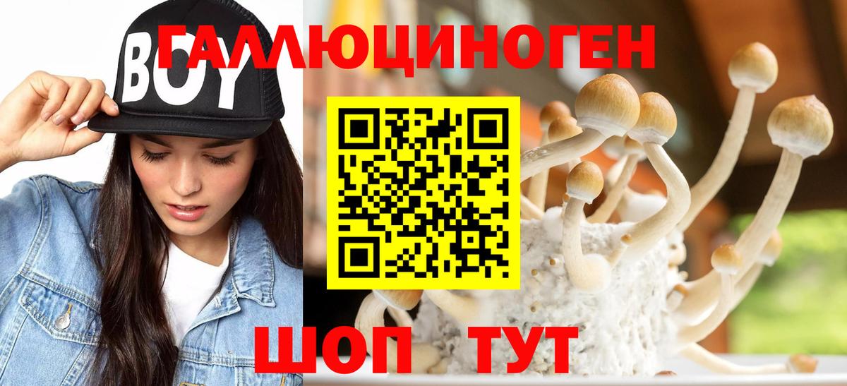 Галлюциногенные грибы MAGIC MUSHROOMS Полысаево