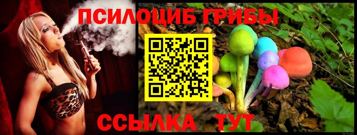 Полысаево  Галлюциногенные грибы GOLDEN TEACHER  как найти закладки  Вход с VPN 