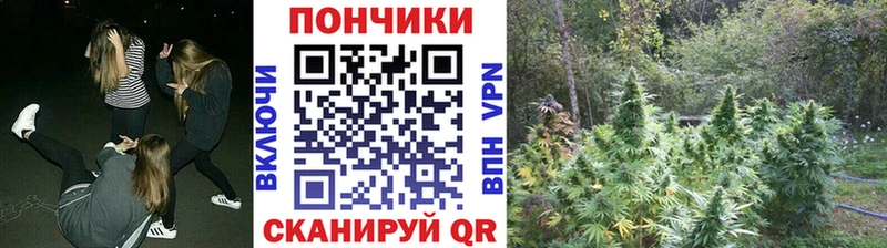 наркота  Полысаево  Каннабис марихуана 